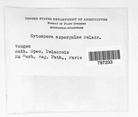 Media resource of Cytospora asperulae